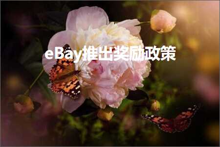 跨境电商知识:eBay推出奖励政策