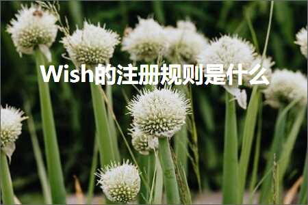 跨境电商知识:Wish的注册规则是什么