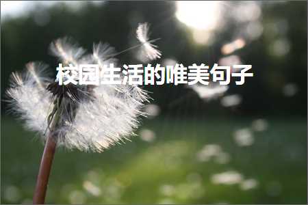 鏍″洯鐢熸椿鐨勫敮缇庡彞瀛愶紙鏂囨725鏉★級