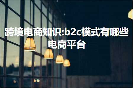 跨境电商知识:b2c模式有哪些电商平台