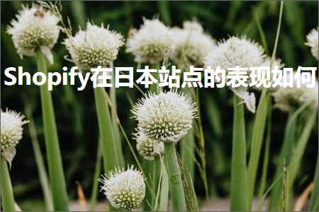 跨境电商知识:Shopify在日本站点的表现如何