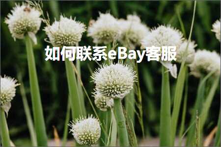 跨境电商知识:如何联系eBay客服