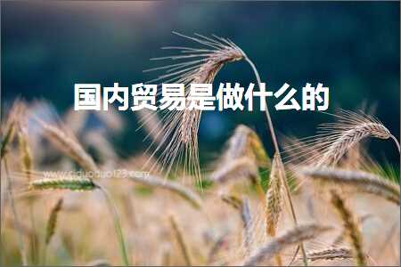 璺ㄥ鐢靛晢鐭ヨ瘑:鍥藉唴璐告槗鏄仛浠€涔堢殑